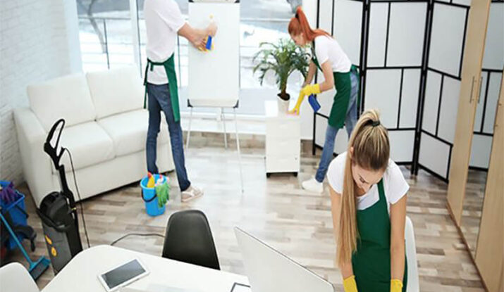 Aydın Ofis Temizliği - Ev Temiliği - Gündelik Temizlikçi